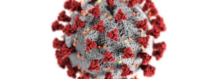 Illustration of coronavirus particle