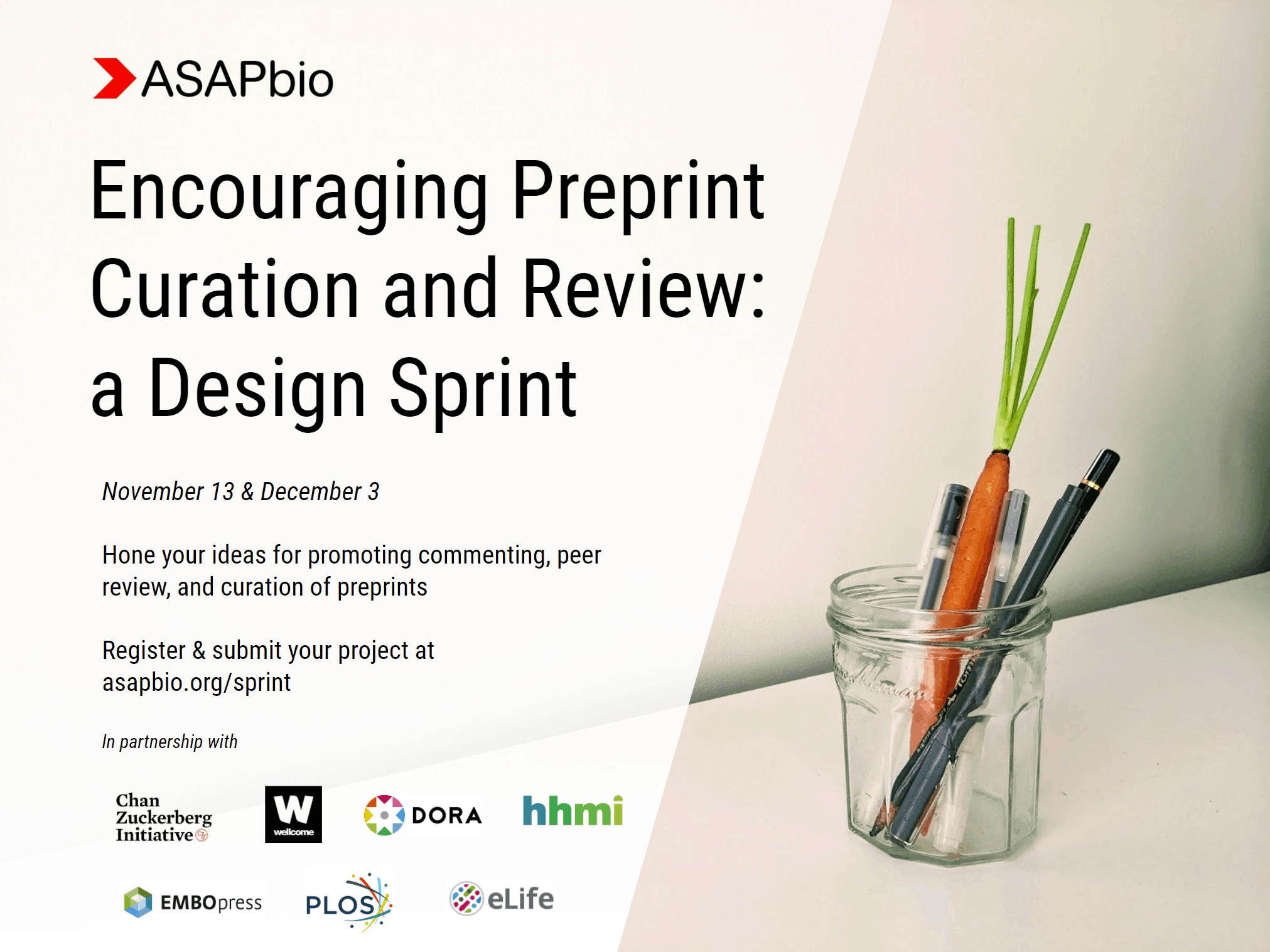 Call for proposals to encourage preprint curation and peer review