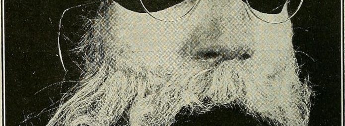 A close-up of a fake disguise featuring a pair of round spectacles attached to a bushy, white beard and mustache. The background is dark, highlighting the whimsical appearance of the disguise.