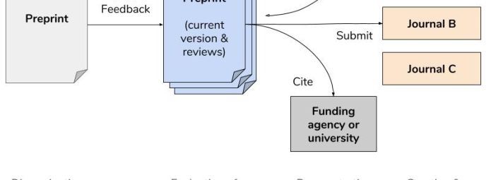 Flowchart illustrating the process from preprint to publication. Preprints receive peer feedback, turning into evaluated preprints. These are then invited for submission to Journals A, B, or C, and cited by funding agencies or universities for productivity.