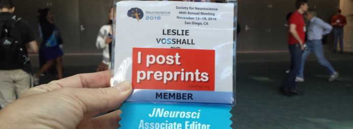 A person holds a name badge from the Society for Neuroscience 2016 Annual Meeting in San Diego. The badge displays the name Leslie Vosshall with a red sticker saying I post preprints and has a blue ribbon labeled JNeurosci Associate Editor.