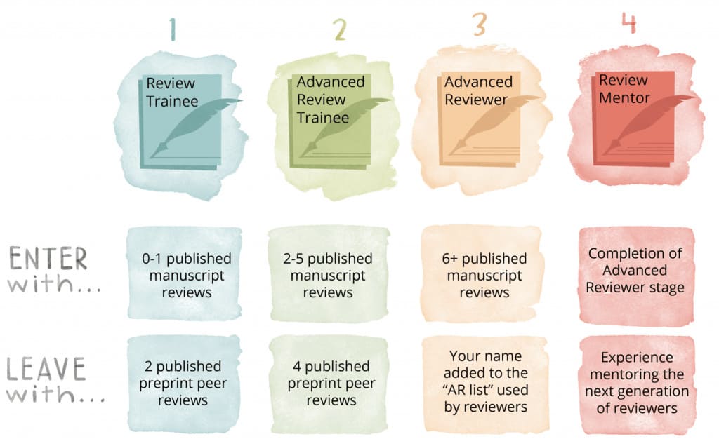 Transforming Peer Review through Mentorship and Community Engagement