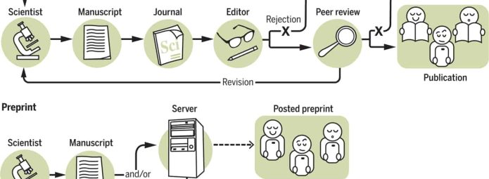 Flowchart illustrating peer review and preprint processes. The peer review includes steps from scientist to publication. The preprint process involves server hosting, with optional journal submission and eventual posting online.