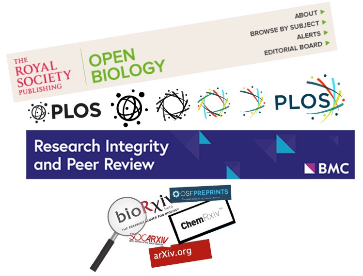 Why do journals engage with preprints? We talked to editors and this is what they told us