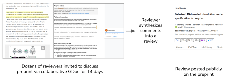 A diagram shows the peer review process for a preprint. Left: Reviewers collaborate on a Google Doc. Middle: Comments are synthesized into one review. Right: The review is posted publicly on the preprint.