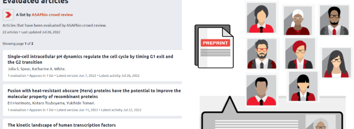 Screenshot of a webpage displaying a list of evaluated articles on left, including titles and authors. On the right, an illustration shows diverse cartoon figures in a grid with a preprint icon, under the heading Crowd preprint review.