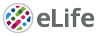 The image shows the eLife logo. It features a colorful circle with abstract shapes and the word eLife in gray text on the right.