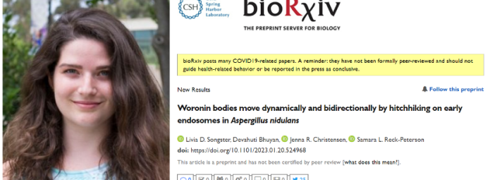 A woman with long, wavy hair smiles at the camera. The text above reads: Cold Spring Harbor Laboratory - bioRxiv with a yellow COVID-19 notice. The article title is about Woronin bodies and endosomes in Aspergillus nidulans.
