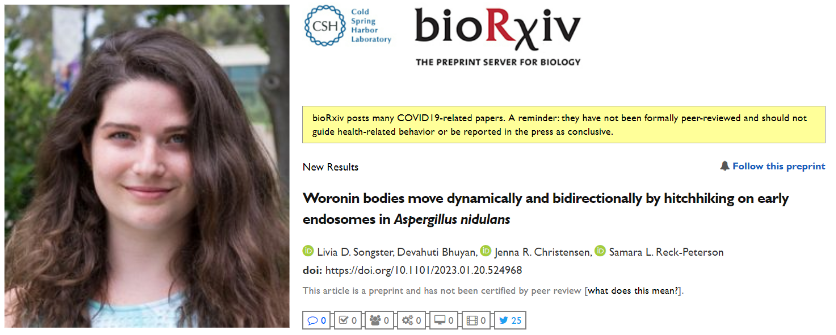 Sharing negative results via a preprint: A conversation with Livia Songster