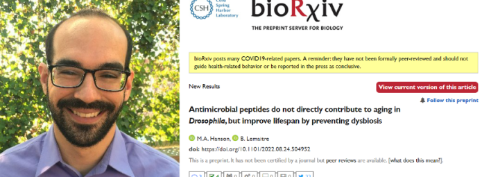 A smiling bearded man with glasses stands outdoors in front of leafy trees. To the right, a screenshot of a bioRxiv research article titled Antimicrobial peptides do not directly contribute to aging in Drosophila, but improve lifespan by preventing dysbiosis.