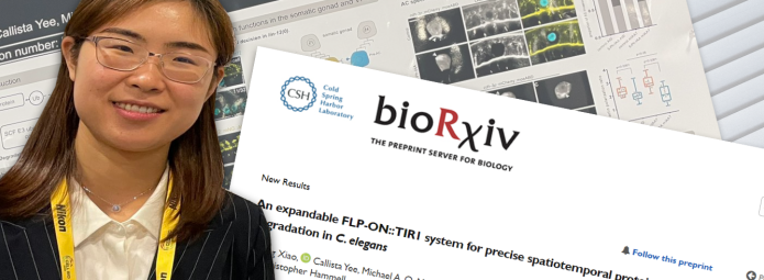 Digital collage of a scientists in front of a poster and the corresponding preprint