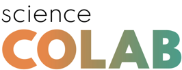Text logo reading science CoLAB in lowercase letters. The word CoLAB is larger and colorful, with gradient shades transitioning from orange to green.