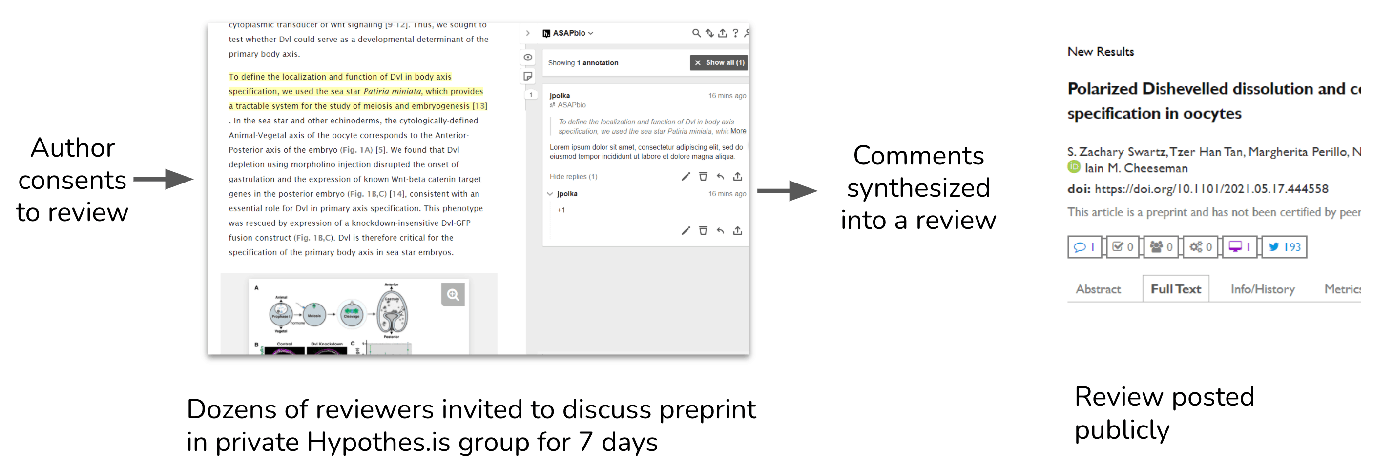 crowd preprint review workflow
