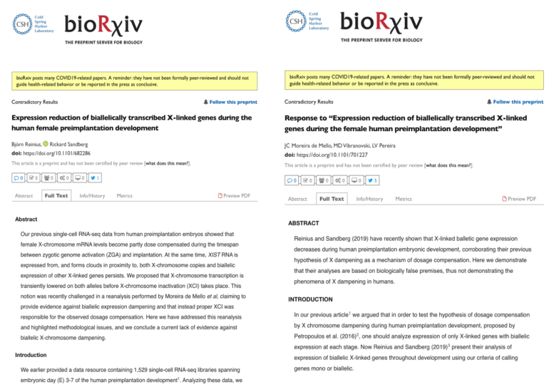 Split-screen image of two academic papers from bioRxiv. The left paper discusses findings on X-linked gene expression in early human development. The right is a response to the left paper, addressing gene expression discrepancies. Both papers are text-heavy.